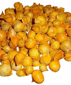 Japanese Garlic//Ajo Japones (100% Natural!!) 250 pieces 7 81edSC2VkS