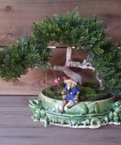 Artificial Japanese Cedar Bonsai Tree 9 inch Tall 19 81egwDR1g1L