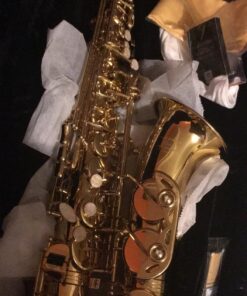 Eastar AS-Ⅱ Student Alto Saxophone E Flat Gold Lacquer Alto Beginner Sax Full Kit With Carrying Sax Case Mouthpiece Straps Reeds Stand Golden 39 81egyA08XuL