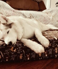 Molly Mutt Huge Dog Bed Cover - Your Hand in Mine Print - Measures 36”x45”x5’’ - 100% Cotton - Durable - Breathable - Sustainable - Machine Washable Dog Bed Cover 31 81ehaumGnL