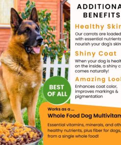 Olewo Original Carrots for Dogs – Fiber for Dogs Keep Poop Firm, Digestive Dog Food Topper, Skin & Coat Support, Dehydrated Whole Food Dog Multivitamin, Gut Health for Dogs, 2.2 lbs 2.2 Pounds 27 81ehwo3SyL