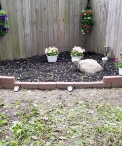 IdeaWorks JB7356 Solar Paw Print Outdoor Lights, Black 44 81eiPWXUkL