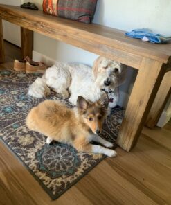 Pet MD - Dog Ear Cleaner Wipes - Otic Cleanser for Dogs to Stop Ear Itching, and Infections with Aloe and Eucalyptus - 100 Count 28 81ekIyEAVzL