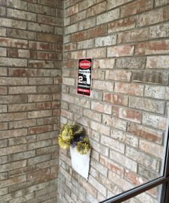 Tag City Novelty SP80063 Warning Protected By 2nd Amendment Security Metal Sign, (8 X 12 Inches) 16 81eqRQFmswL