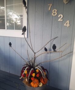 PREXTEX 6pcs Black-Feathered Small Crows Halloween Decorations | Outdoor&Indoor Decor | Fake Bird, Halloween Birds, Scary Ravens, Decorative Crows, Raven | Home, Fence, Porch, Tree, Party Decoration 40 81eqVY77duL