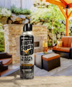 Hot Shot Wasp & Hornet Killer Spray (2 Pack), Eliminates The Nest, Sprays Up Tp 27 Feet, for Insects, 28 fl Ounce 13 81evIwNqeqL
