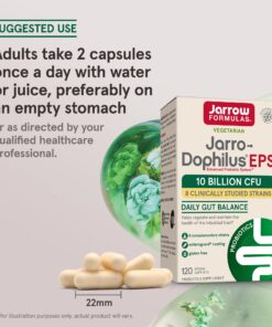 Jarrow Formulas Jarro-Dophilus EPS Probiotics 10 Billion CFU, Dietary Supplement for Intestinal Tract Support, Gut Health Supplements for Women and Men, 120 Veggie Capsules, 60 Day Supply Unflavored 120 Count (Pack of 1) 17 81evhOVkfuL