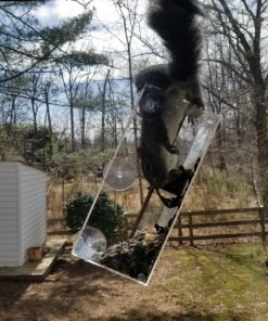 Window Bird Feeder with Strong Suction Cups, Clear Window Bird Feeders for Outside - Transparent Bird House, Balcony Glass Mount, Acrylic Cat, Kids & Elderly Viewing Clear Bird Feeder for Window Perch Large Ranch 42 81evwnbEvyL