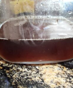 Koffee Kult Dark Roast Whole Bean Coffee - Small Batch Gourmet Aromatic Artisan Blend 100% Arabica Coffee Beans Organically Sourced (Dark Roast, 32oz) 2 Pound (Pack of 1) 35 81ezJCF5SnL