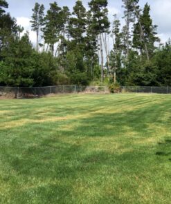 HP OfficeJet 5255 Wireless All-in-One Color Printer, HP Instant Ink, Works with Alexa (M2U75A) 62 81f 255xtJL