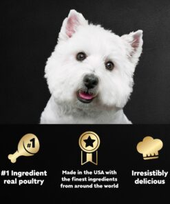 CESAR Adult Wet Dog Food Classic Loaf in Sauce Poultry Variety Pack,. Easy Peel Trays with Real Chicken, Turkey or Duck, 3.5 Ounce (Pack of 24) 3.5 Ounce (Pack of 24) multi 23 81f0PmtJGeL