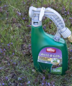 Ortho Weed B Gon Chickweed, Clover & Oxalis Killer for Lawns, 32 Oz. Ready to Spray 21 81f3kH134YL