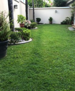 Great States 415-16 16-Inch Reel Mower Standard Full Feature Lawn Mower with T-Style Handle and Heat Treated Blades 16-Inch, 5-Blade Reel Only 56 81f5R2sLPmL