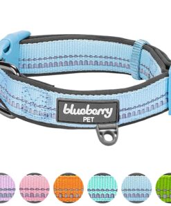 Blueberry Pet Soft & Safe 3M Reflective Neoprene Padded Adjustable Dog Collar - Baby Blue Pastel Color, Medium, Neck 14.5"-20" 43 81f5YYUuvFL 2