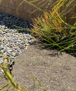 ZUCKEO Low Voltage Landscape Lights LED Landscape Lighting, 5W 12V Garden Pathway Lights Waterproof Warm White Walls Trees Flags Outdoor Landscape Spotlights with Stakes (8 Pack) 56 81f5wpwRlCL