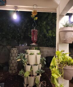 Perky-Pet 8109-2 Antique Glass Bottle Hummingbird Feeder-16-Ounce Capacity, Red beige 1 Count (Pack of 1) Elegant 34 81fAb4wDglL