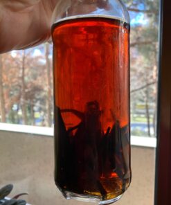 10 Split Extract Grade B Madagascar Bourbon Vanilla Beans 13~15 cm (5~6") by Vanilla Products USA 43 81fBMwP ifL