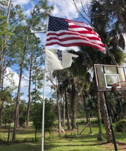 Annin Flagmakers Model 2730 American Flag Tough-Tex Polyester Flag, 5 x 8 Feet 5x8 ft. 34 81fBkPVi5qL