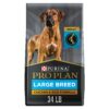Purina Pro Plan High Protein, Digestive Health Large Breed Dry Dog Food, Chicken and Rice Formula - 34 Lb. Bag Chicken & Rice 34.00 Pound (Pack of 1)
