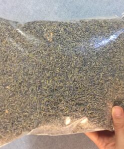 TMT Lavender Flowers Ultra Blue Grade, 1/2 lb 24 81fDPmyX7VL