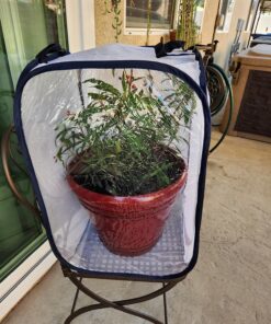 RESTCLOUD Insect and Butterfly Habitat Cage Terrarium Pop-up 23.6 Inches Tall White With Black 15.7 x 15.7 x 23.6 inches 29 81fDiK8ymgL