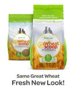 sWheat Scoop Natural Wheat Multi-Cat Litter, Superior Clumping with Odor Neutralizing Enzymes, 25 Pound Bag Multi Cat 19 81fDk9wiidL