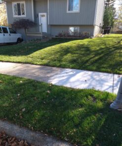 Scotts Turf Builder WinterGuard Fall Lawn Fertilizer for All Grass Types, 5,000 sq. ft., 12.5 lbs. 5,000 sq. ft. 37 81fF86qXviL