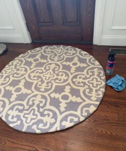 BISSELL Professional Power Shot Oxy Carpet Spot and Stain Remover, 14 ounces, 95C9 39 81fFgP383L