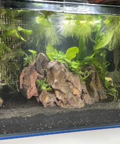 Luffy Decorative Wall or Floor Mesh Kit, 2 Pieces 47 81fIAg1bjAL