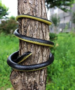 Homdipoo Realistic Fake Rubber Snake Toys Black That Look Real Prank Stuff Cobra 49 Inch Long 49inch 1pack 12 81fLroVCmWL