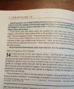G.T. Luscombe Company, Inc. Accu-Gel Bible-Hi-Glider Bible Study Set | No Bleed Solid Gel Highlighter | No Smearing or Fading | Long Lasting Bright Translucent Colors (Set of 6) 1-Set Set of 6 49 81fMe1clHdL