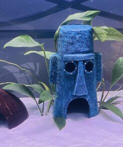 SunGrow Coconut Aquarium Shrimp Cave, Small Fish Tank Aquarium Decorations Accessories, Comfortable Shelter and Breeding Area for Crustaceans, Fish Hideout Aquarium Décor for Spawning 22 81fOflK1VL