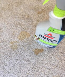 BISSELL Oxy Stain Destroyer Pet Plus Pretreat, 1773, 22 oz 37 81fQRWXjU4L