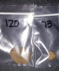 iPower GLBBAG5X5 5-Gallon 5 Herbal Ice Bubble Hash Bag Essene Extractor Kit, 5-Pack 16 81fRVOwg2xL