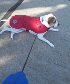 Zack & Zoey Nor'Easter Blanket Coat, X-Large, Red 1 48 81fVCO7ScwL 1