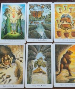 The Wildwood Tarot Deck: Wherein Wisdom Resides (Modern Tarot Library) 59 81fVZjCaxxL