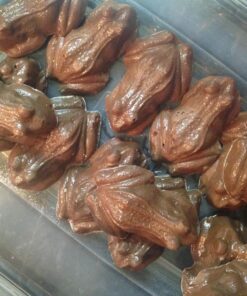 Cybrtrayd Life of the Party Frog Chocolate Candy Mold in Sealed Protective Poly Bag Imprinted with Copyrighted Cybrtrayd Molding Instruction 47 81fWd9lvPlL