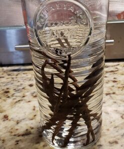 Bormioli Rocco Officina Water Bottle | 37.25 oz, Italian Glass Pitcher | Airtight Seal & Metal Clamp | Easy To Carry Handle, Dishwasher Safe & Eco-Friendly | Safe For Infused & Carbonated Drinks 30 81fXrNqEu4L