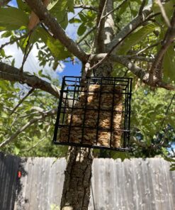 More Birds Suet Cage Bird Feeder, Fruit and Suet Feeder, Single Cake Capacity ,Black Black 35 81fch5O4IJL