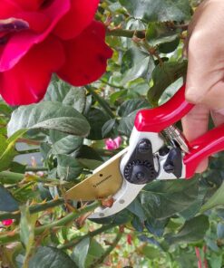 Haus & Garten ClassicPRO 8.5" Bypass Pruning Shears - Premium Garden Shears - Use As Gardening Shears, Garden Clippers, Handheld Heavy-Duty Professional Pruning Shears For Gardening & Pruning Scissors 46 81fcweMStFL