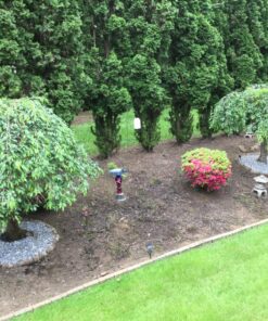 2 Pack 100 LED 8 Modes Copper Wire Waterproof Solar Fairy String Lights,Warm White 2 Pack-100 LED 30 81fe2hry6YL