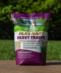 Jonathan Green (10970) Black Beauty Heavy Traffic Grass Seed - Cool Season Lawn Seed (3 lb) 3 lb 17 81feJC8tkdL