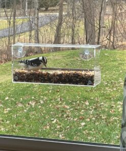 Window Bird Feeder with Strong Suction Cups, Clear Window Bird Feeders for Outside - Transparent Bird House, Balcony Glass Mount, Acrylic Cat, Kids & Elderly Viewing Clear Bird Feeder for Window Perch Large Ranch 53 81fewdHKs4L
