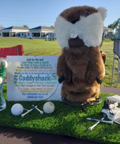 Pride Professional Tee System, 3-1/4 inch ProLength Plus Tee, 135 count, White 22 81fg588dDL