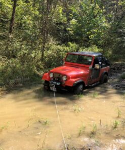 WARN 90287 Winch Component Accessory: Wireless Remote Control System for Truck and SUV Winches with 5 Wire Electrical System 13 81fh3Ch54JL