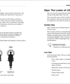 Ayurveda (Idiot's Guides) 25 81fhqAZGI2L