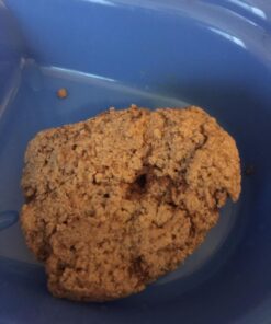 Purina Fancy Feast Pate Wet Kitten - (24) 3 oz. Cans 34 81fjZI7OBtL