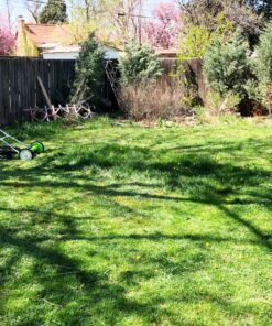 Greenworks 16-Inch Reel Lawn Mower with Grass Catcher 25052,Black/Green, 47"D x 22"W x 29.75"H 16" Reel Mower 55 81fjzTILyL