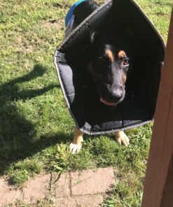 Professional 300 Piece (40 Unique Items) First Aid Kit | Emergency Medical Kits | Home, Business, Camping, Car, Office, Travel, Vehicle, Kids, Boat, Survival, Supplies 97 81foWJQorrL