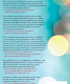 Alternative view of Unbroken Brain: A Revolutionary New Way of Understanding Addiction